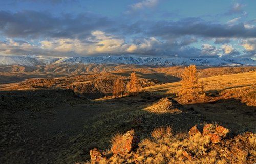 На Курайских холмах