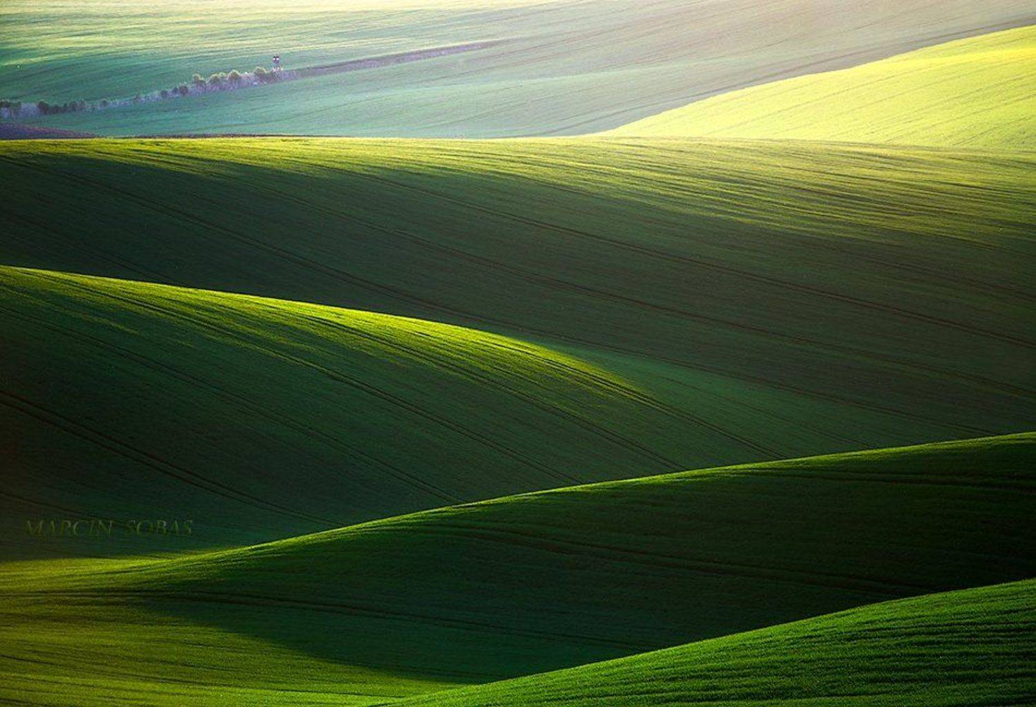 spring, Marcin Sobas