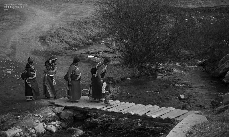 Участие будет верующих метод 参加法会的信徒 фото превью