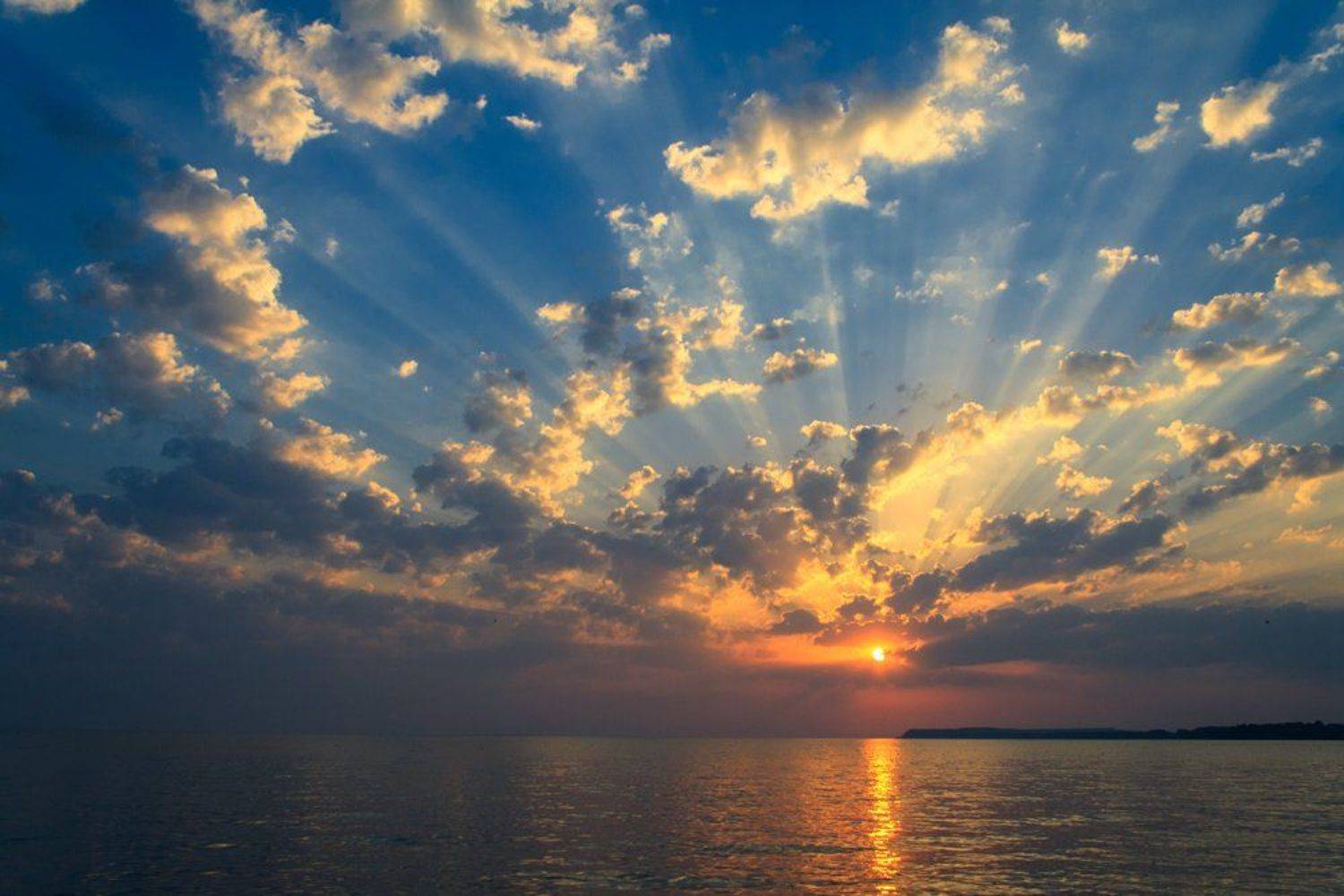 , Александр Войтенко