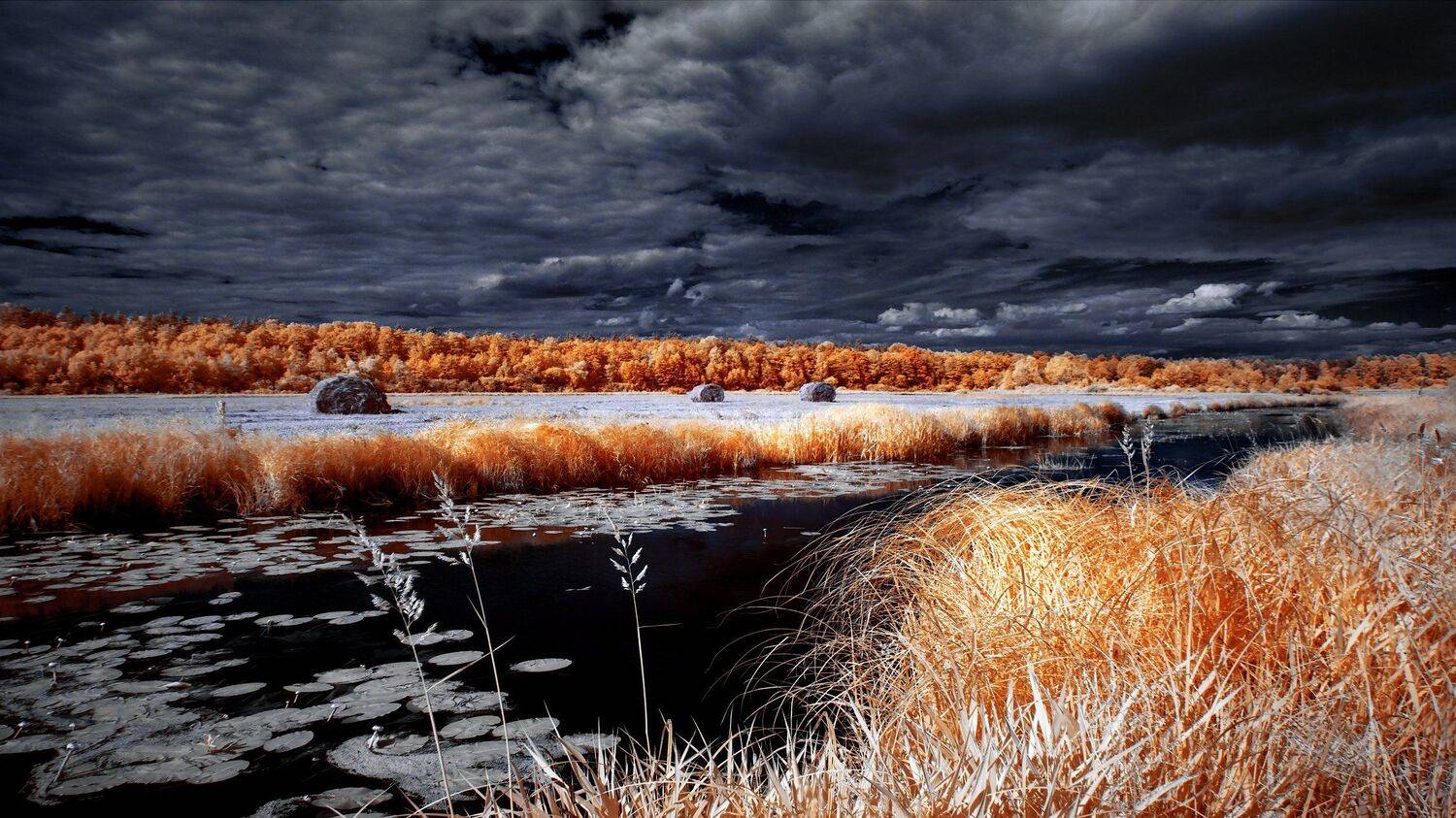 infrared,ик-фото,инфракрасное фото,инфракрасная фотография,пейзаж,природа,беларусь,лето, Sixten ( Сергей )