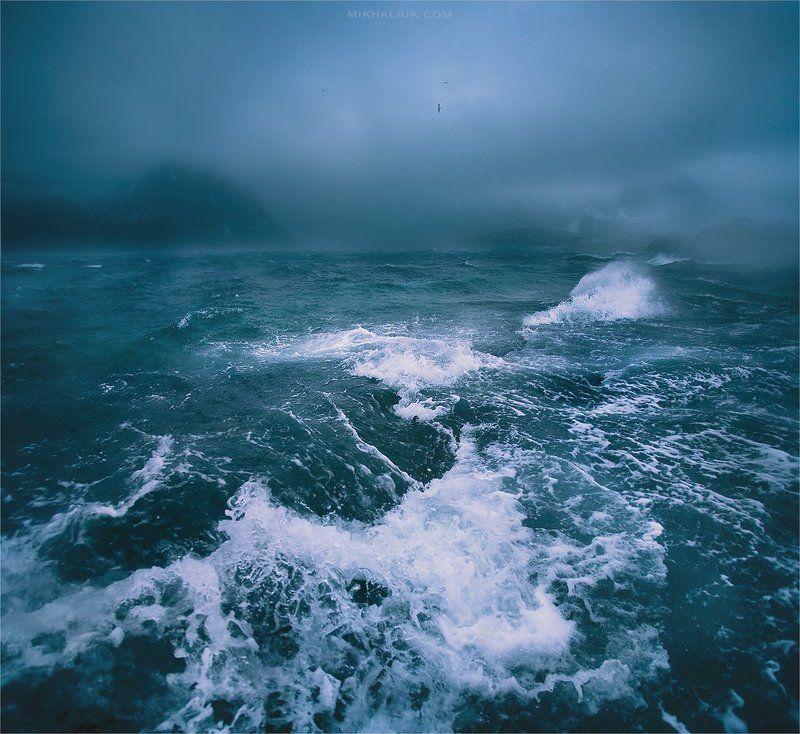 Гордо реет Буревестник фото превью