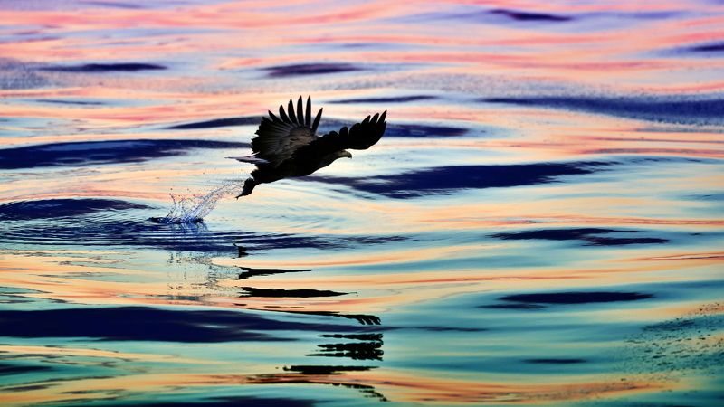 Marbling of light фото превью