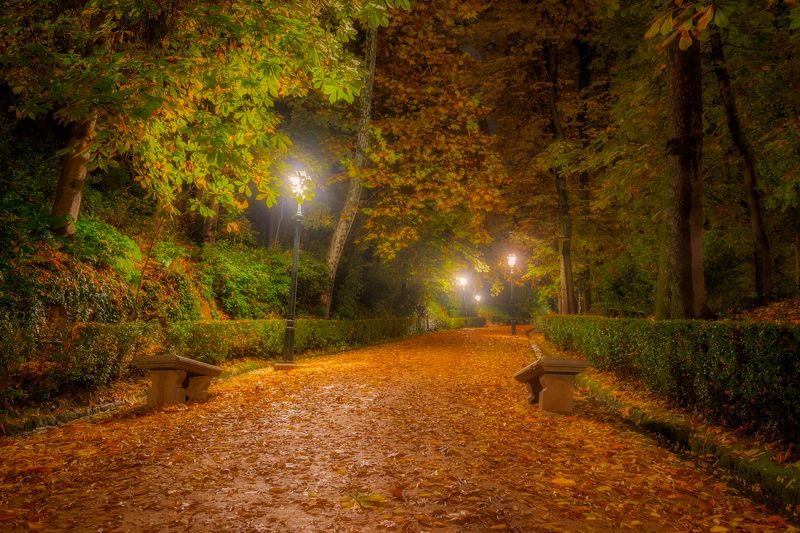 spain, grenada, andalusia, alhambra. Ночью в старом парке. фото превью