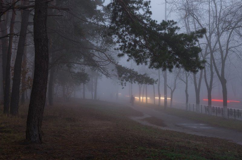 туман, город Седой туман сошел на город фото превью