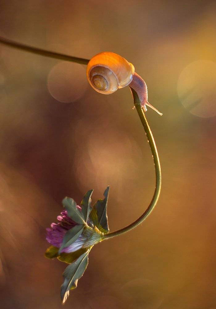 , Pawel Plucinski