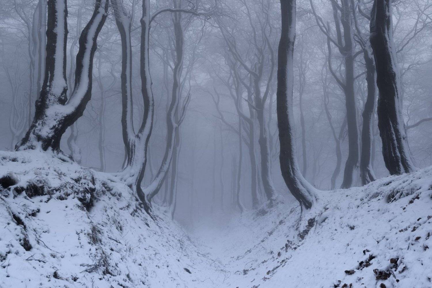 czech republic, ore mountains, frost, winter, snow, beautiful, travel, europe, cold, mist, north bohemia, Tomas Morkes