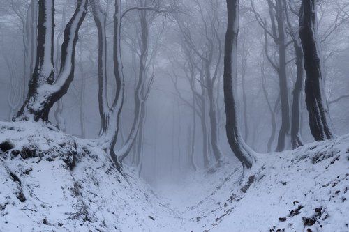 Winter in the Ore Mountains