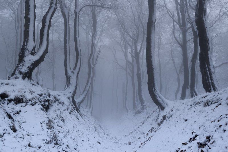 czech republic, ore mountains, frost, winter, snow, beautiful, travel, europe, cold, mist, north bohemia Winter in the Ore Mountains фото превью