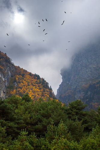 В гостях у хозяев гор...