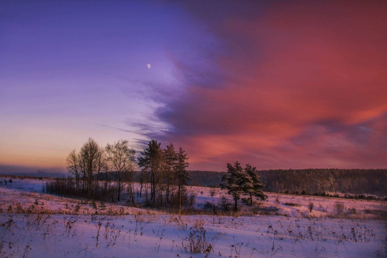 фото, природа, пейзаж, лес, зима, закат, Екатерина