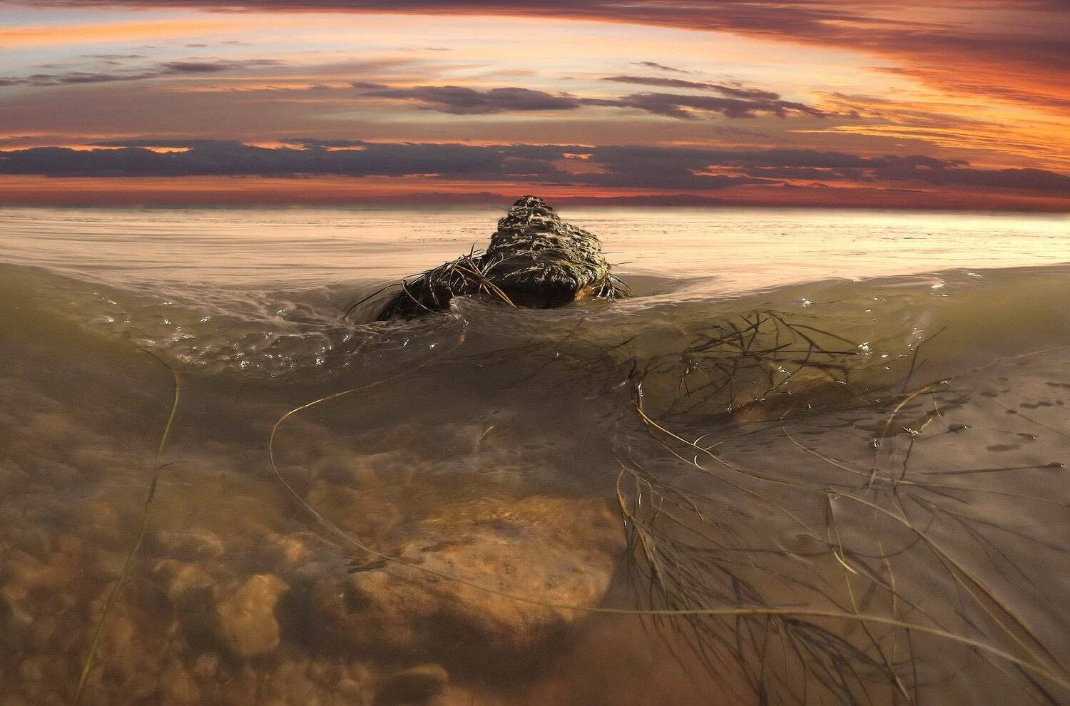 одесса, Сергей Кошелев