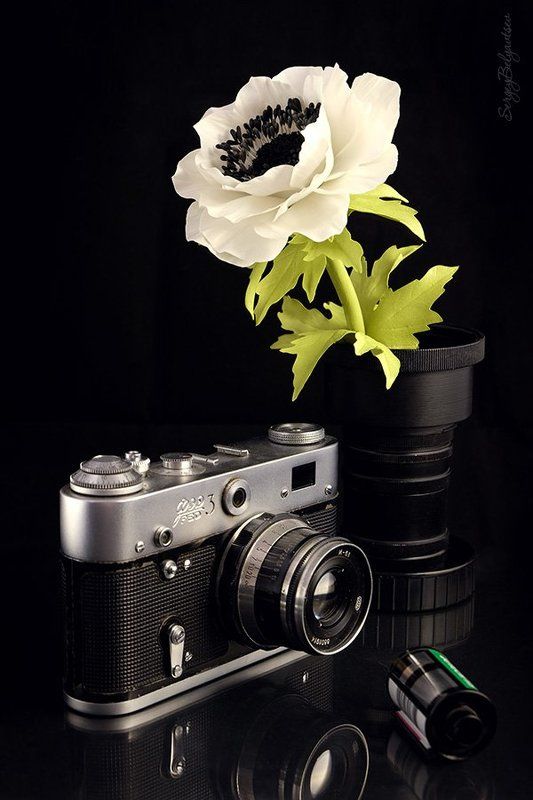 Железный Феликс фото превью