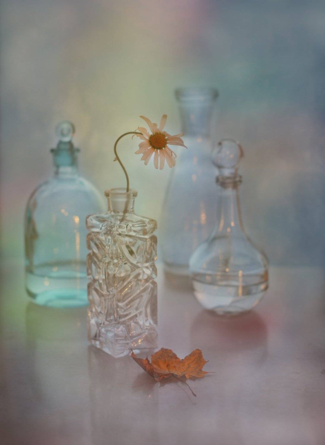 , Рудая Галина