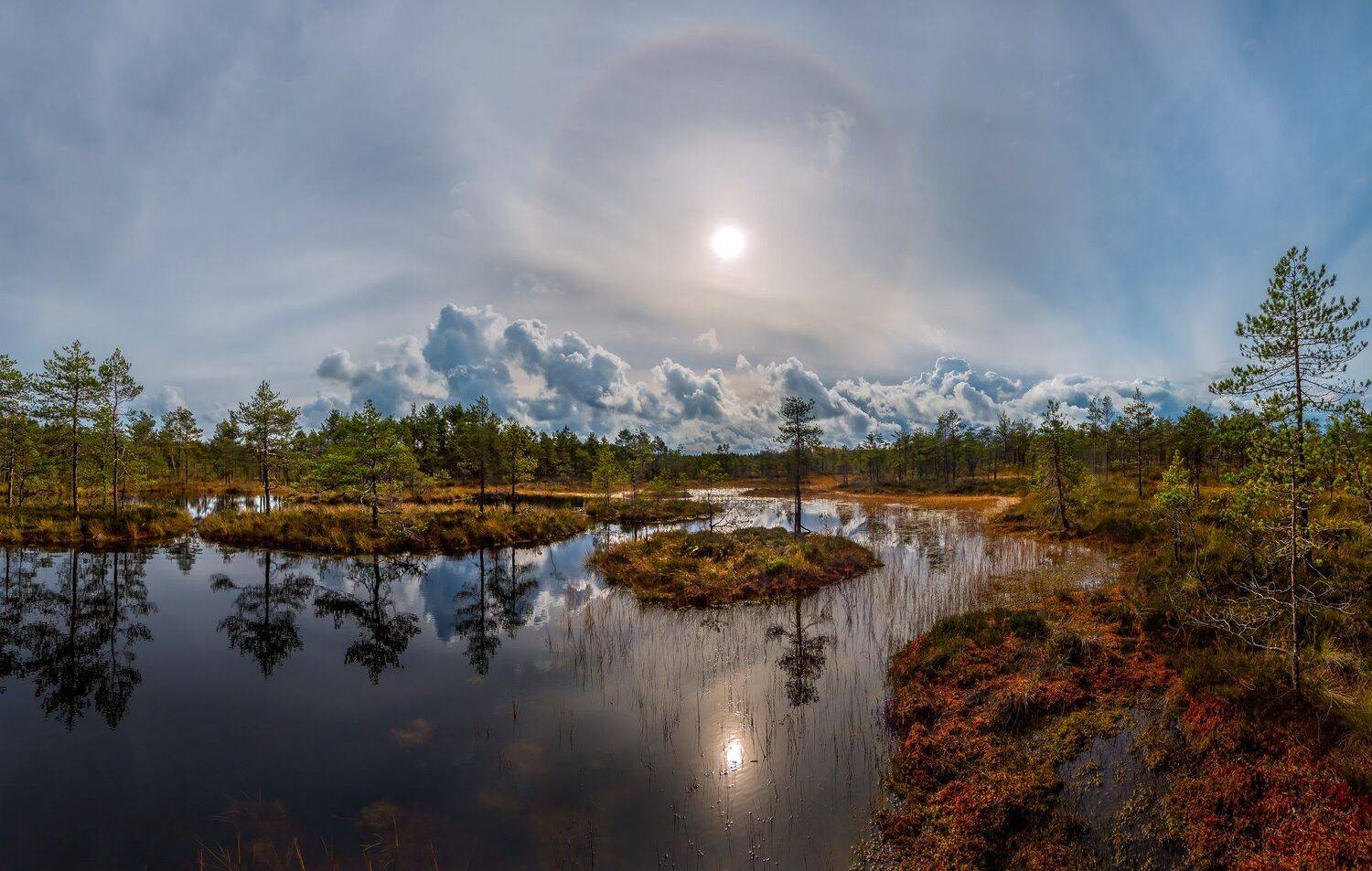 ленинградская область, болото, осень, фототур, сосны, рассвет, туман, солнце, отражение, остров, гало, Лашков Фёдор