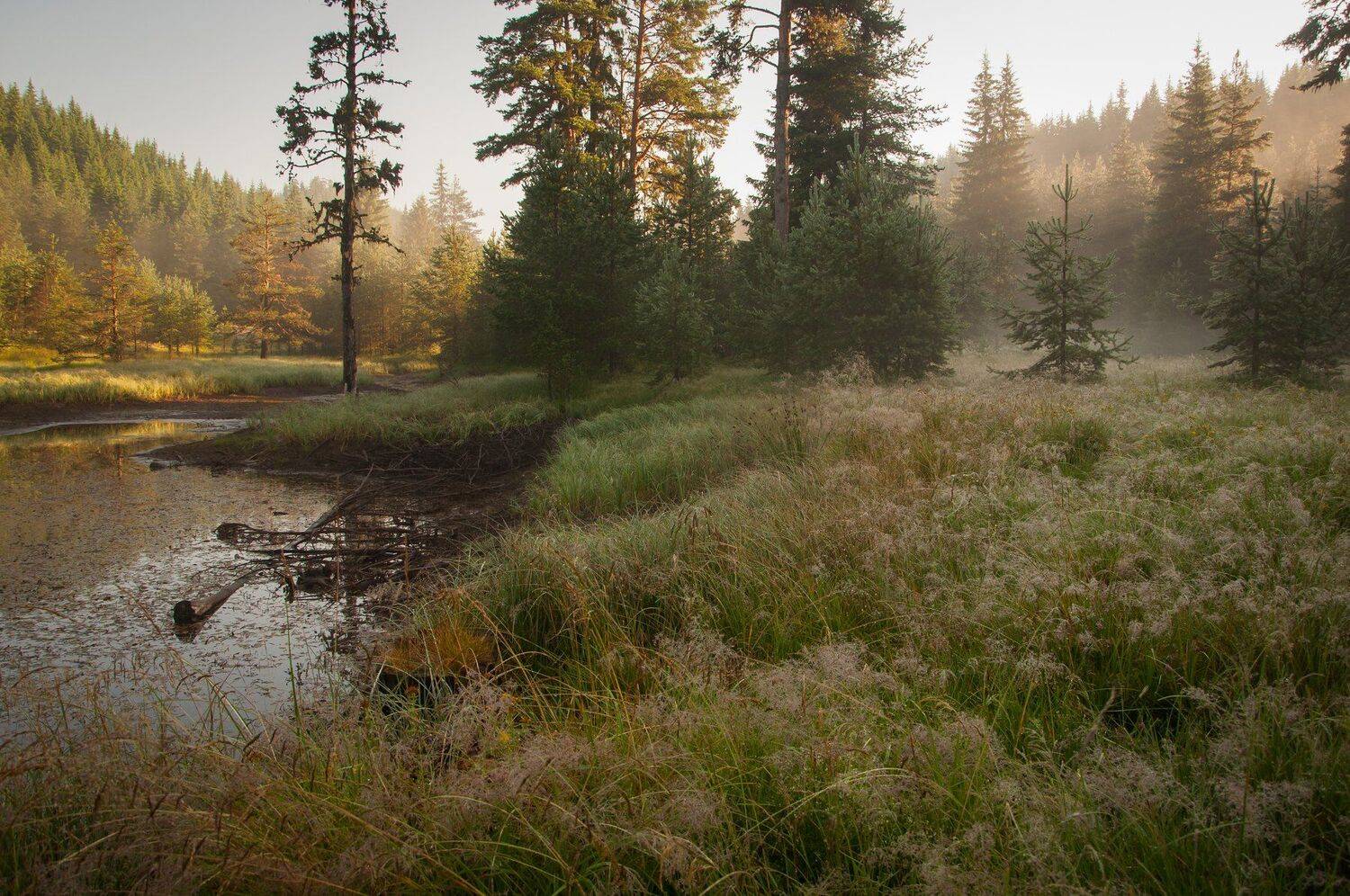 nikon d90, Tihomir Petkov