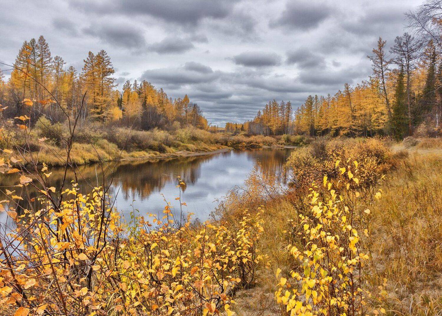 , Николай Андреев