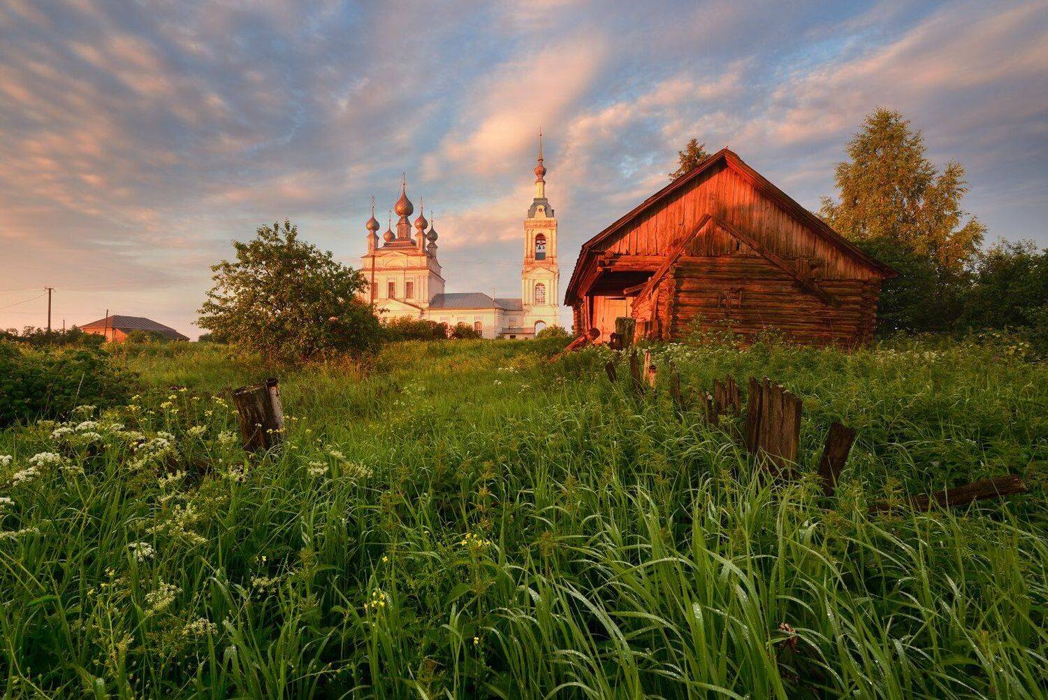 , Максим Евдокимов ( www.wildphotorus.ru )