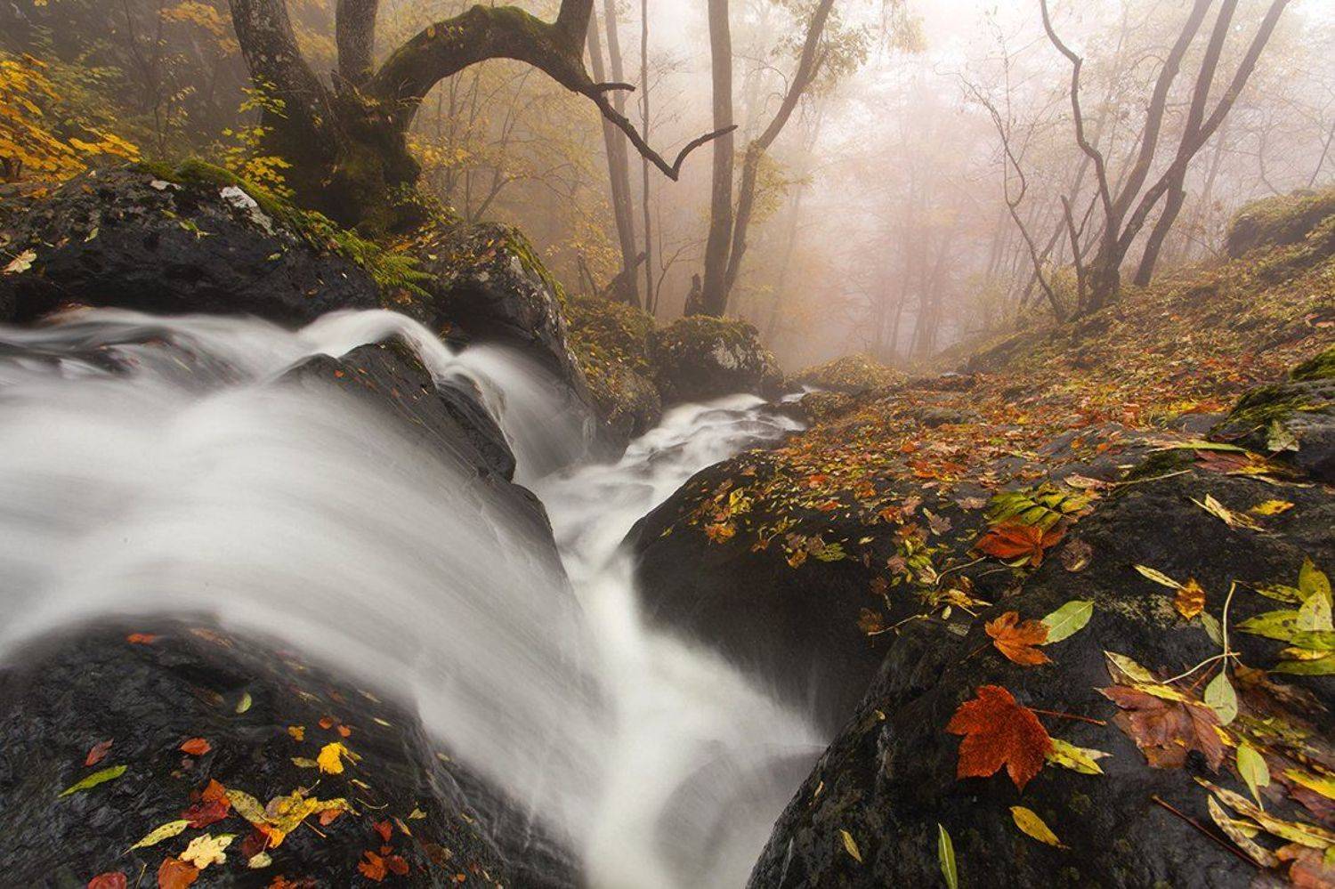 болгария, осень, река, Павел Пронин