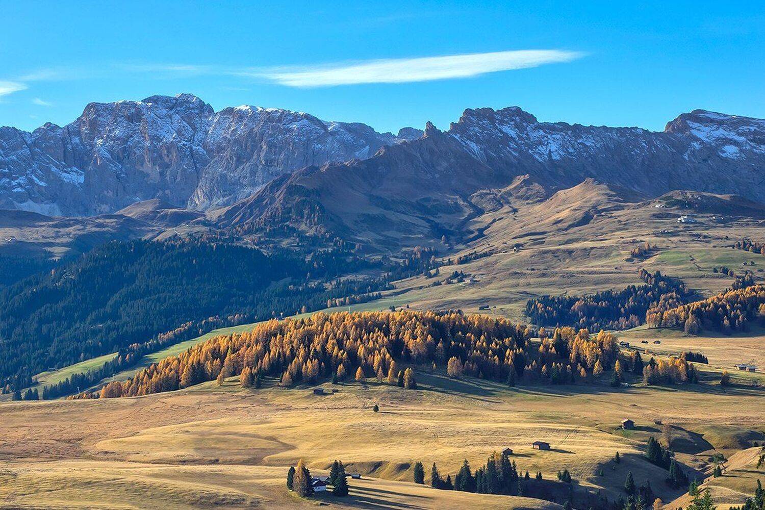 , Игорь Дубровский