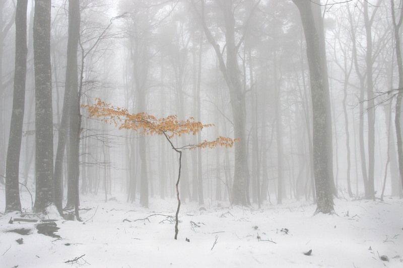 Легко ли быть молодым? фото превью