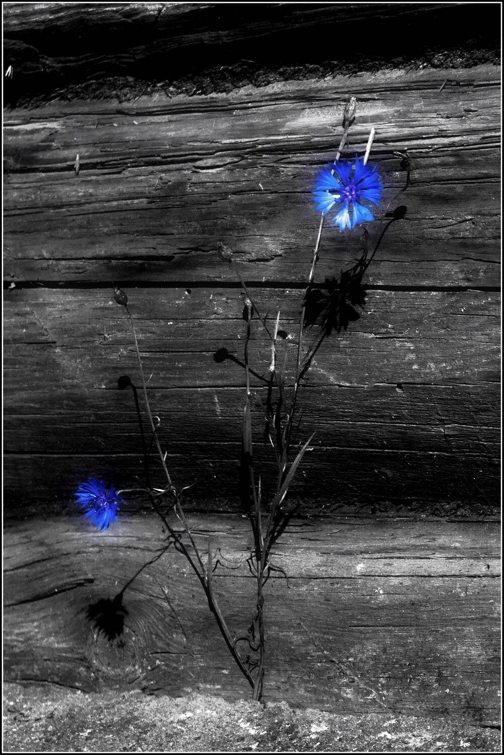 лето, Sixten ( Сергей )