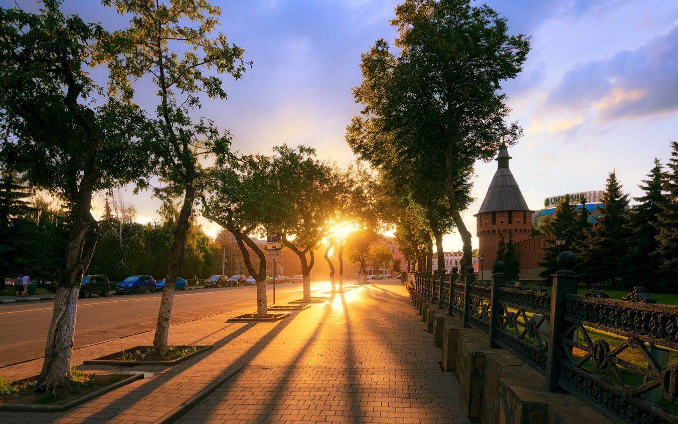 , Алексей Горохов