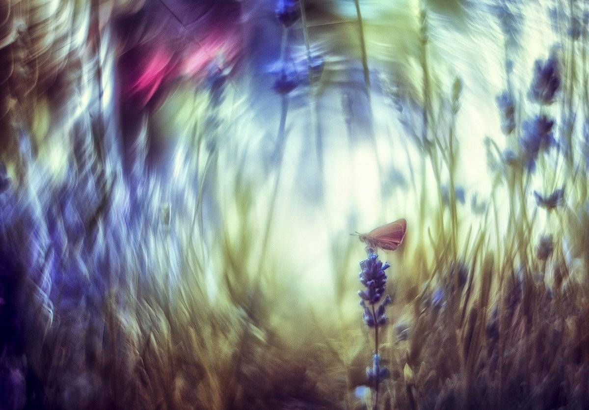 , Татьяна Аверина