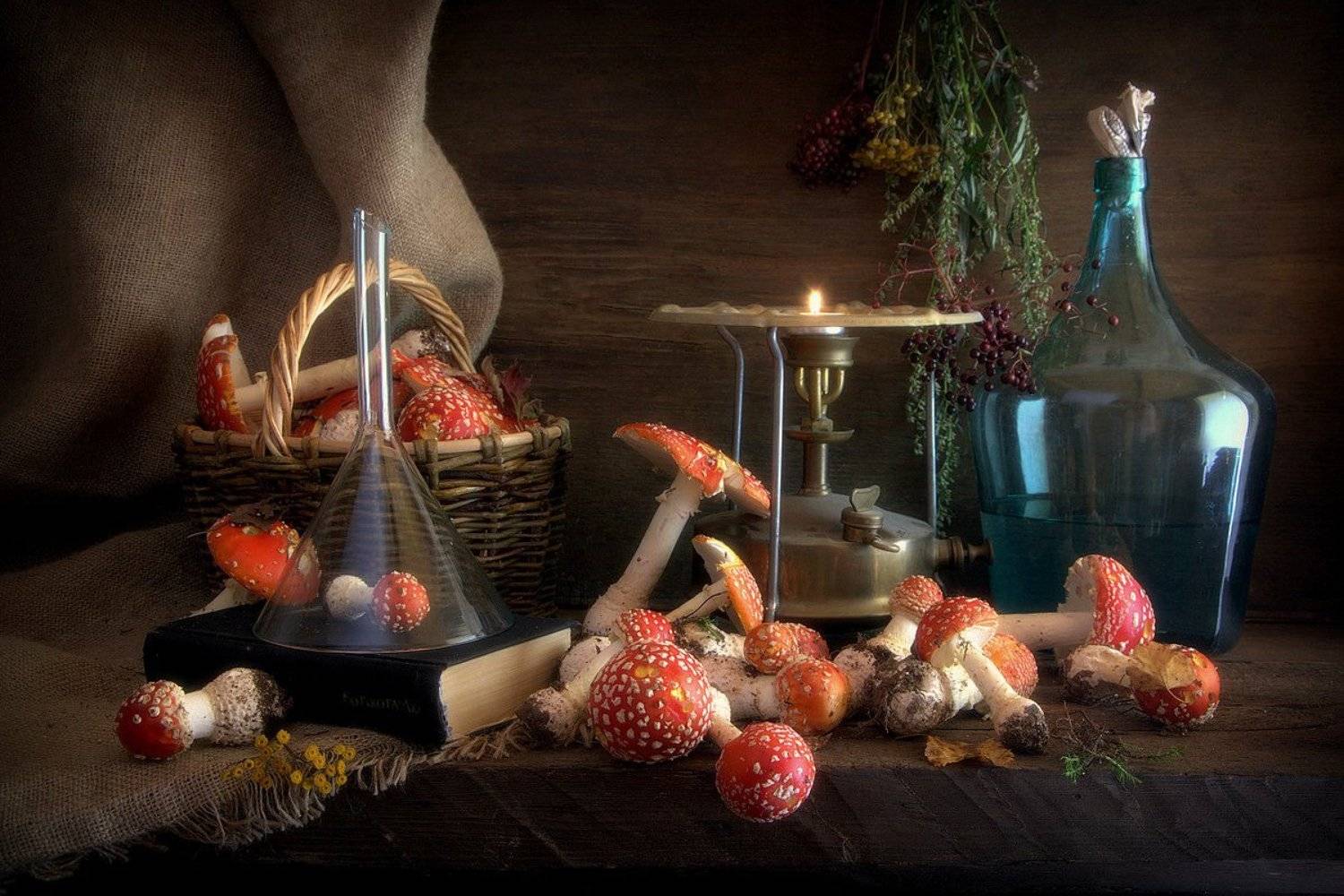 сергей алексеев, натюрморт, грибы, Сергей Алексеев