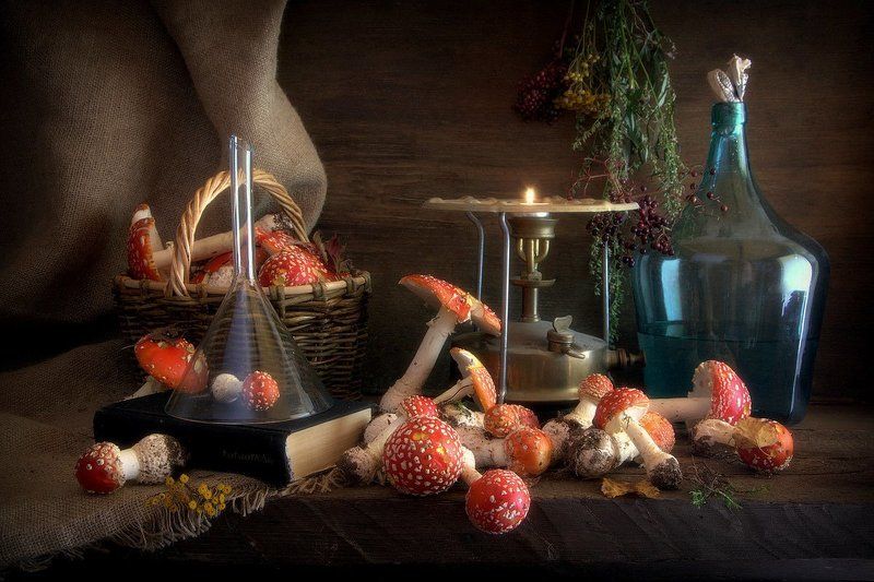 Все грибы есть можно, но некоторые только один раз! фото превью