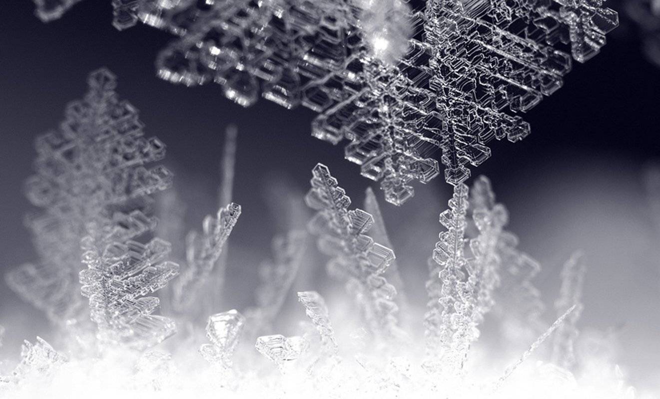 , Наиля Гарифуллина