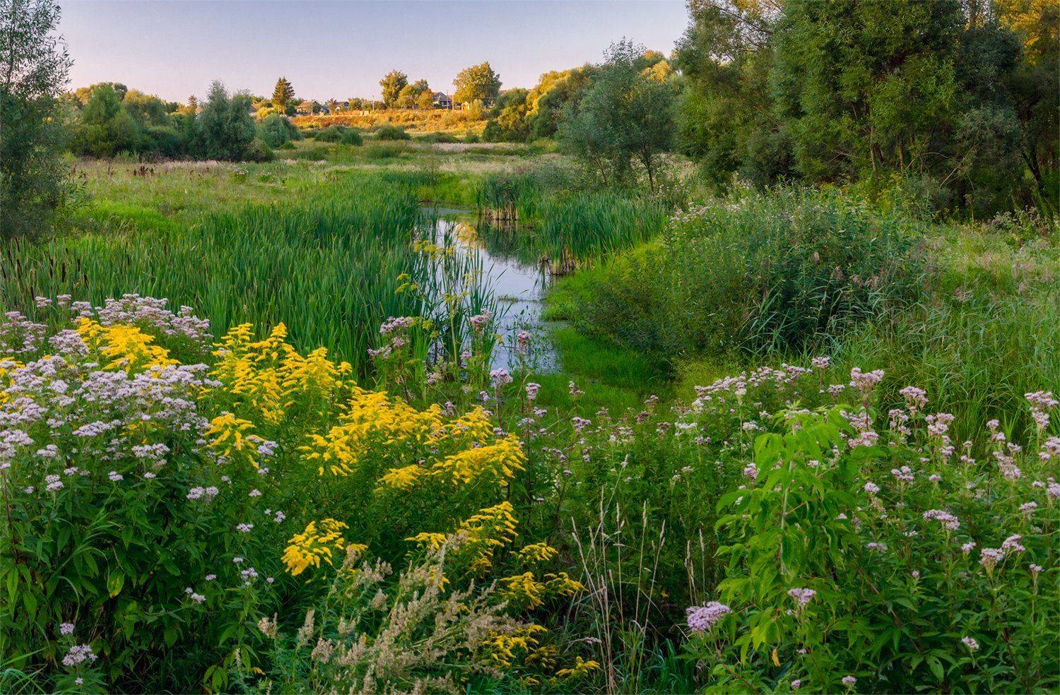 nevant60 пейзаж природа закат, Александр Березуцкий
