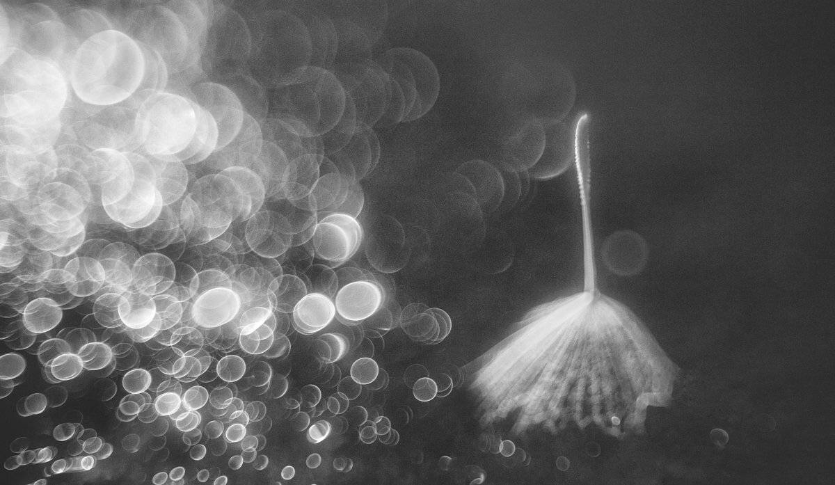 , Татьяна Аверина