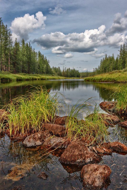 Река Большая Чайка фото превью