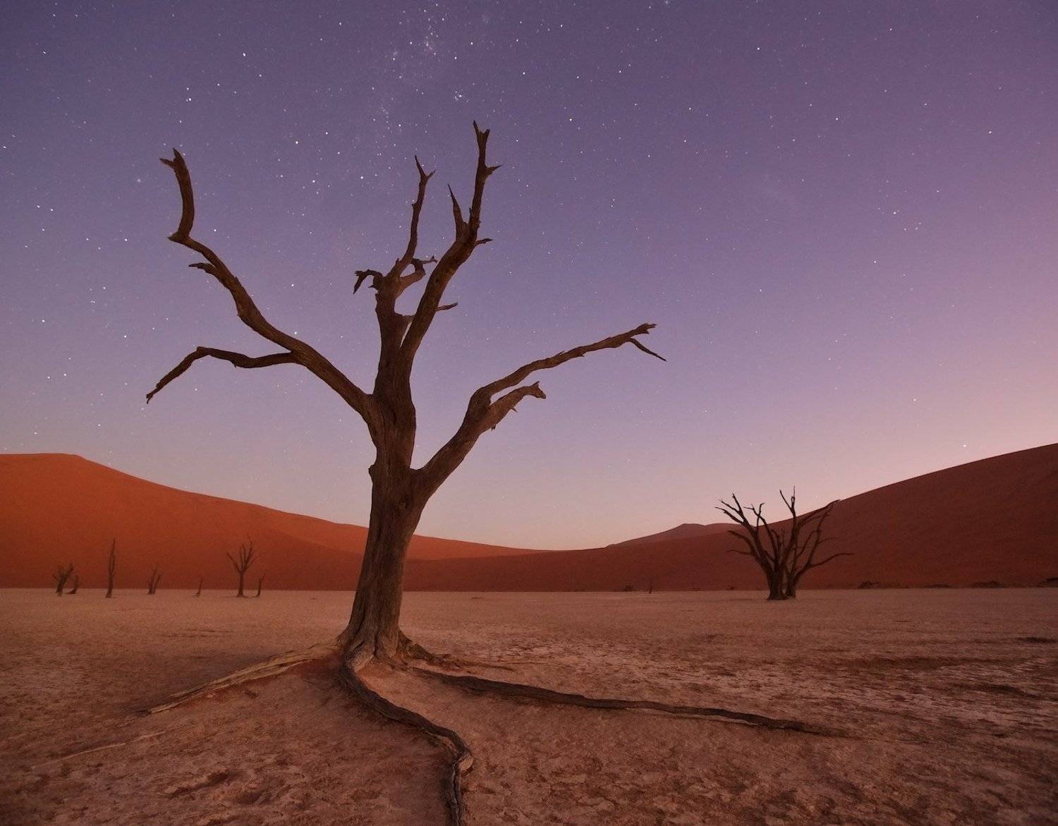 #loveafrica, mc, namibia, намибия, dead vlei, namib naukluft national park, west africa, Маргарита Чернилова