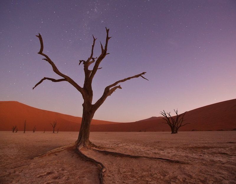 #loveafrica, mc, namibia, намибия, dead vlei, namib naukluft national park, west africa африканская колыбельная фото превью