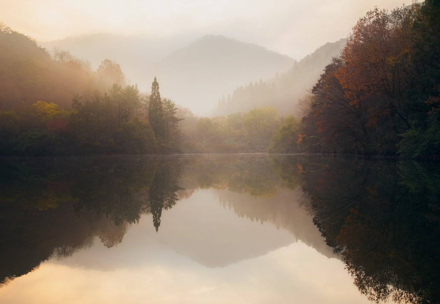 Korea, Nathaniel Merz