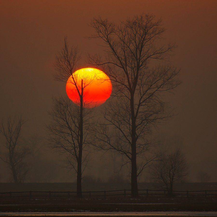 , Pawel Plucinski