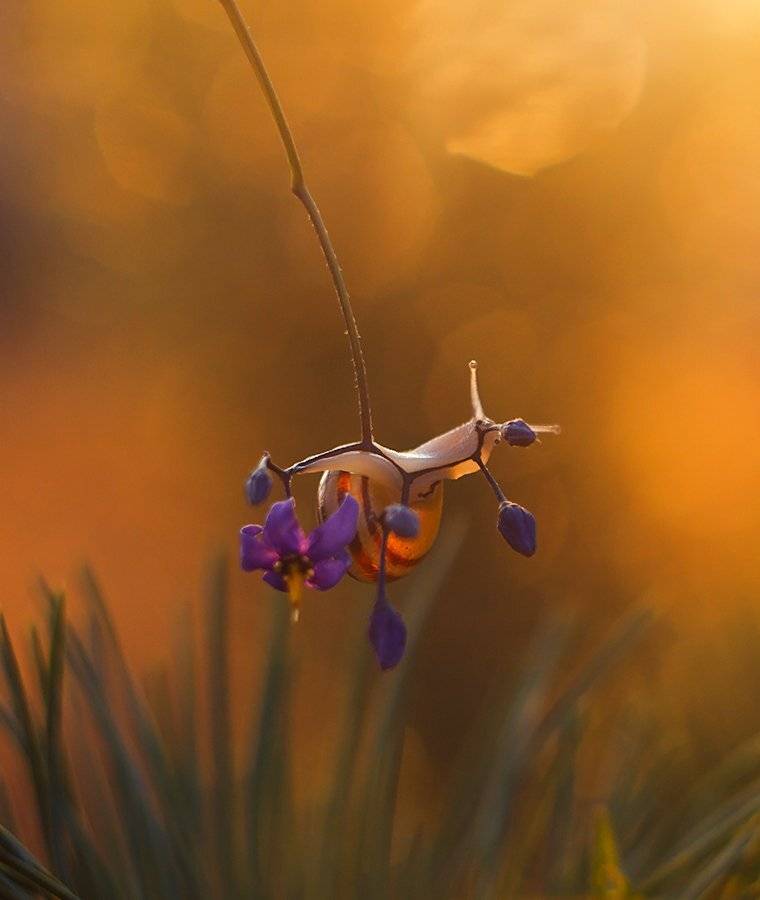 , Pawel Plucinski