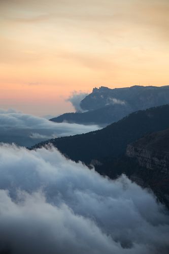 О Крымских пантерах...