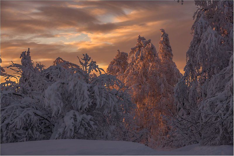 Тишина на закате... фото превью