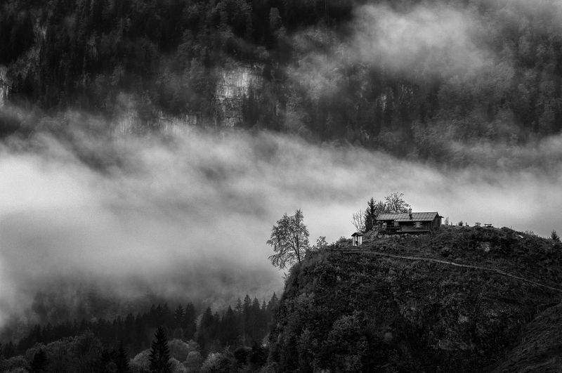 Solitude фото превью