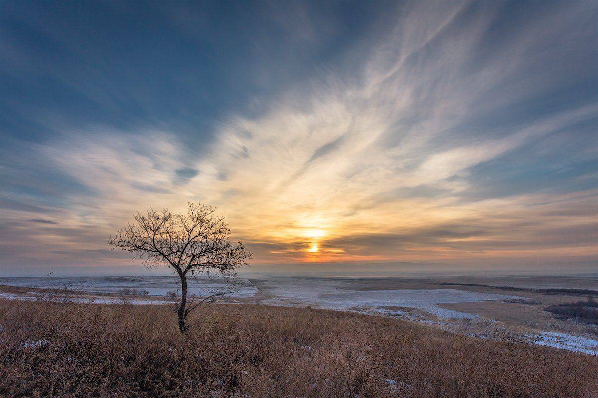 , Комеров Роман
