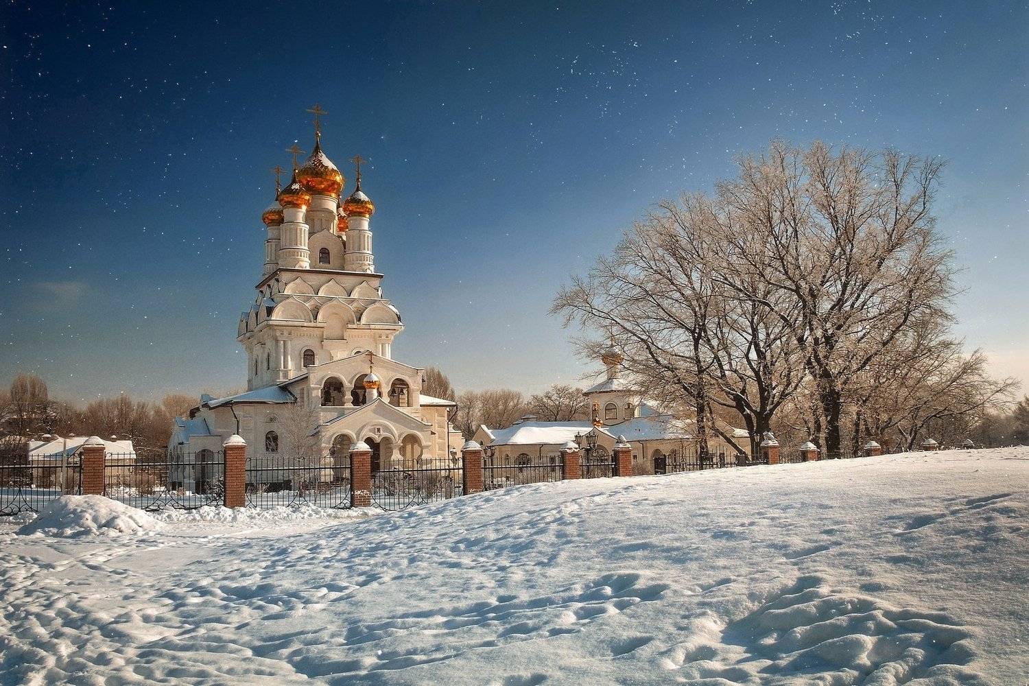 , Mihalych