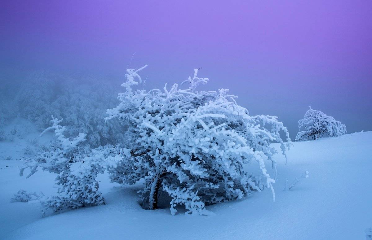 , Станислав Савицкий