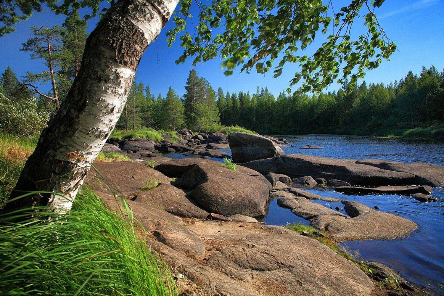 , Лопухов Сергей