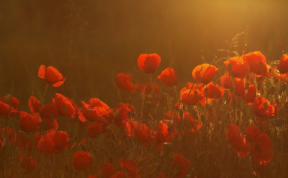 , Franti&scaron;ek Uhler