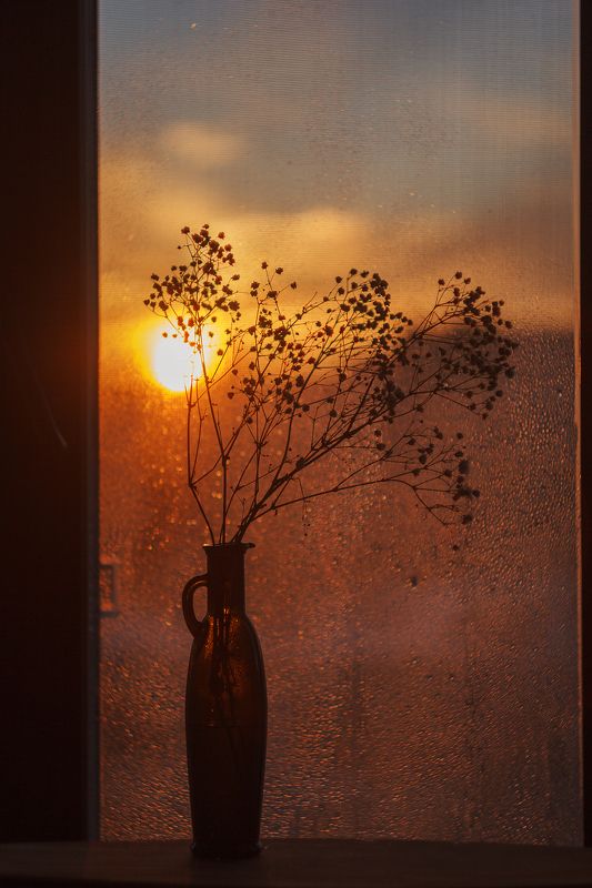 На закате фото превью