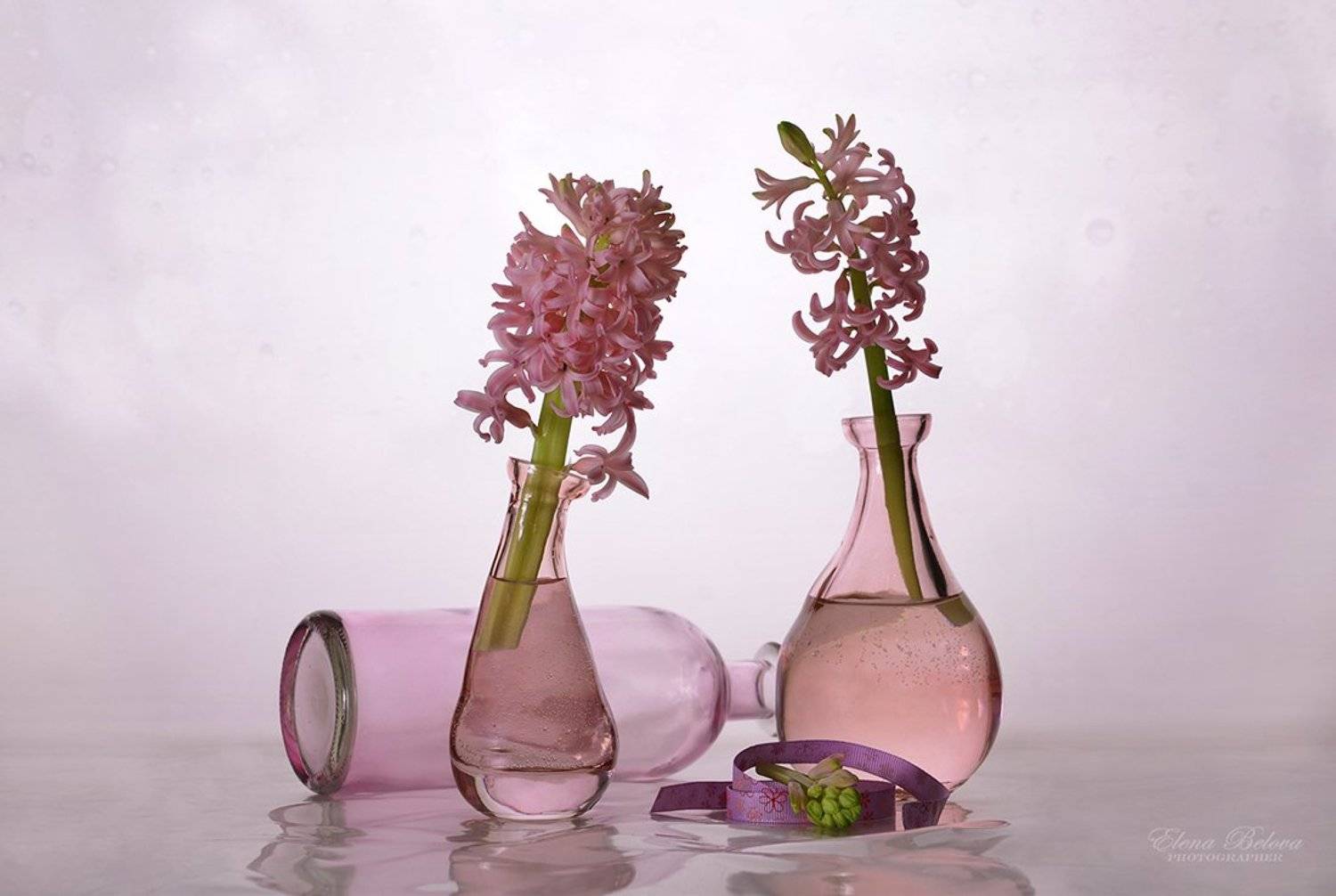 , Елена Белова