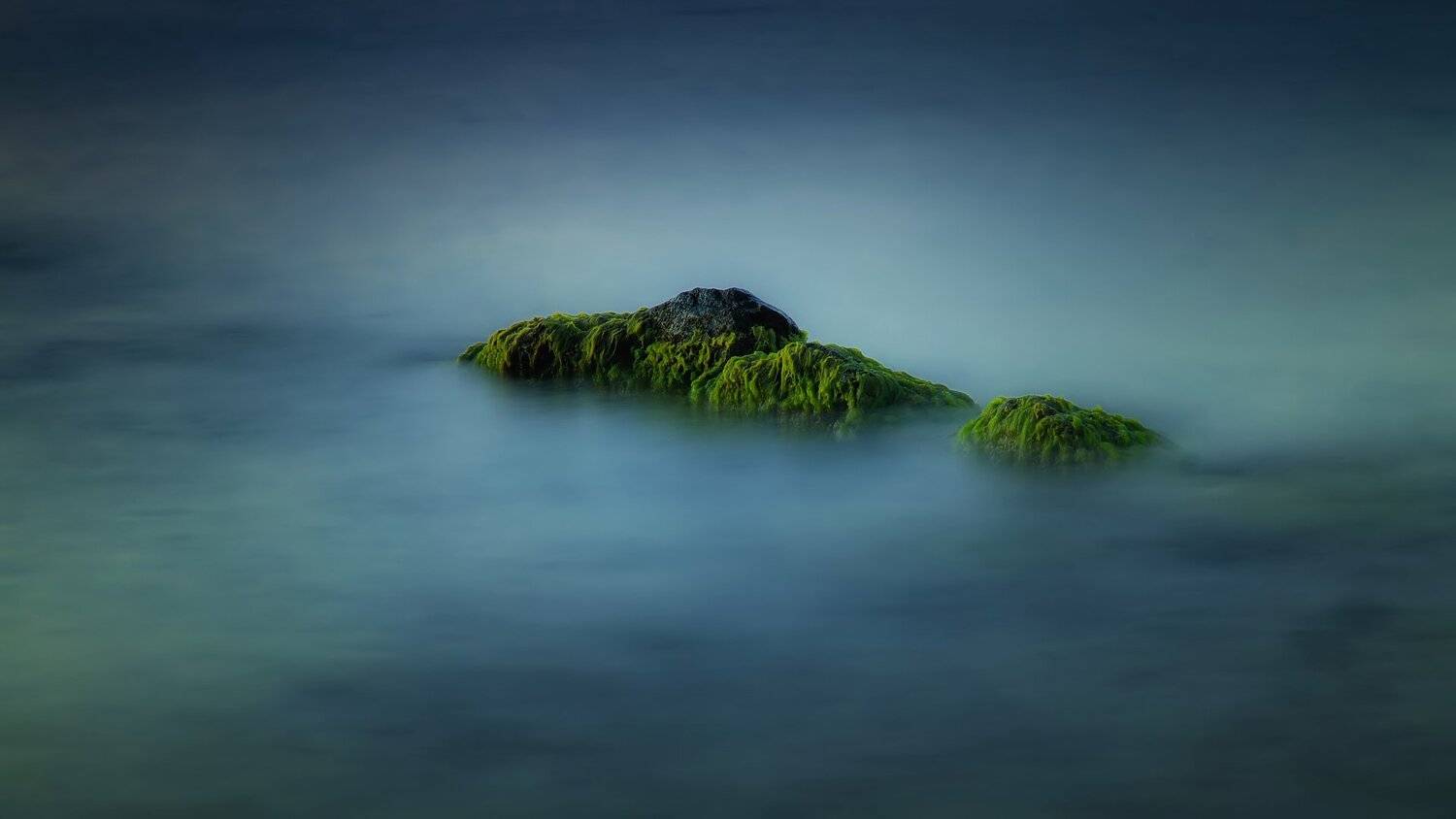 вода камни водоросли природа море лето, Serj Master